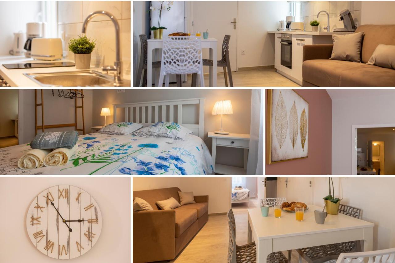Appartement LOC TROTTEUR LE FLEUR DES CHAMPS F2 cosy, gare SNCF de Lourdes Extérieur photo