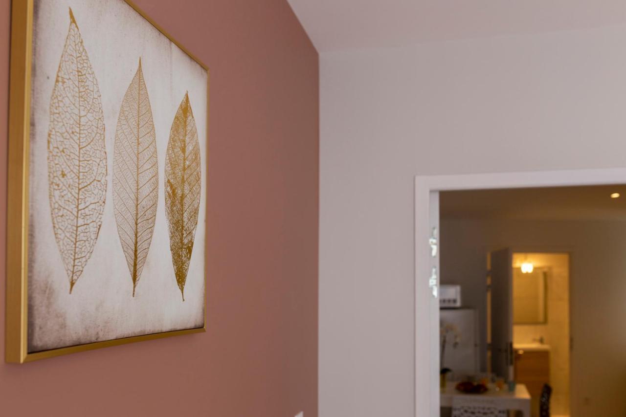 Appartement LOC TROTTEUR LE FLEUR DES CHAMPS F2 cosy, gare SNCF de Lourdes Extérieur photo